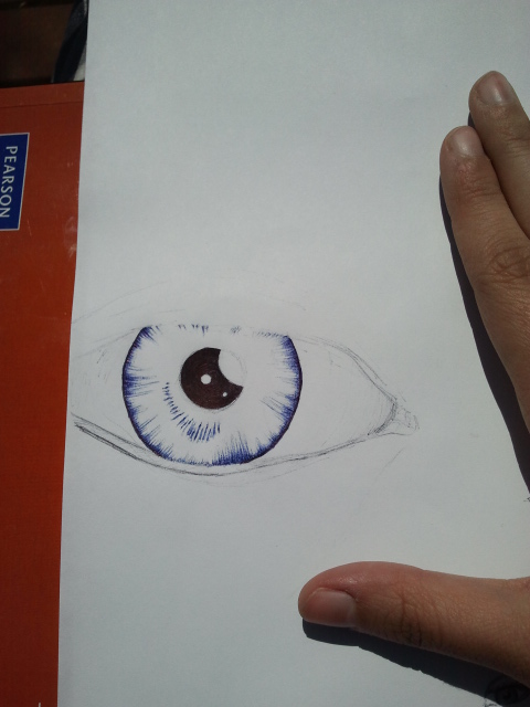 ballpoint pen on paper (April 2012)